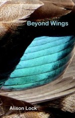 Beyond Wings, cover