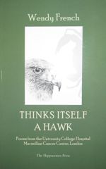 Thinks Itself a Hawk cover