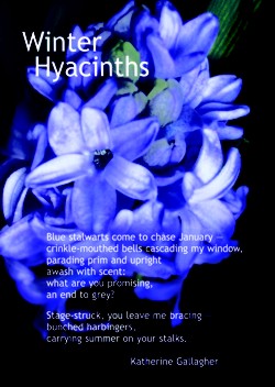 Winter Hyacinths card