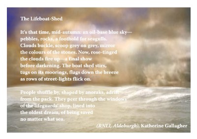 The Lifeboat-Shed card image