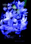 Winter Hyacinths, Katherine Gallagher