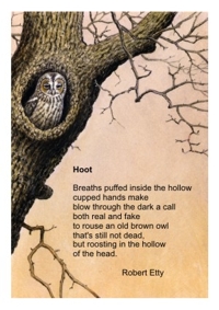 Hoot poem card