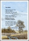 Wendy Klein, Year Mark