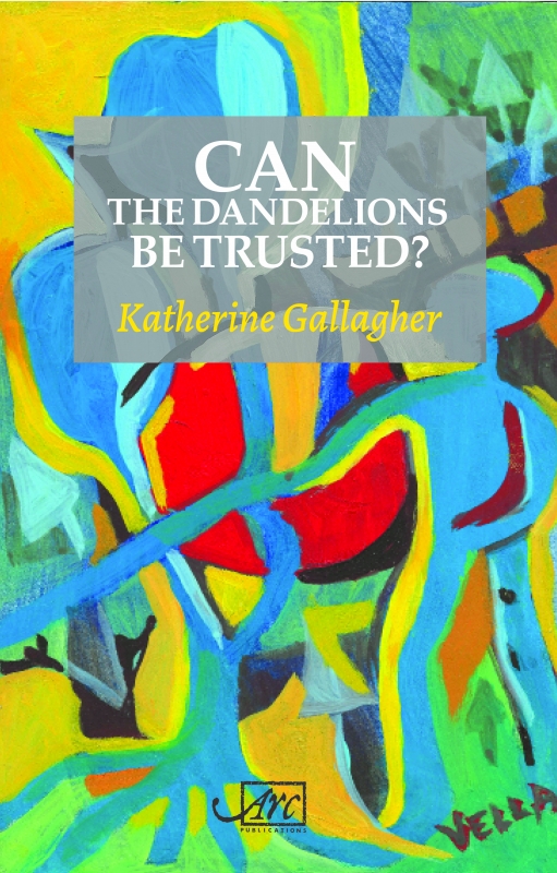Can the Dancelions Be Trusted, cover