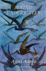 Flying Underwater cover