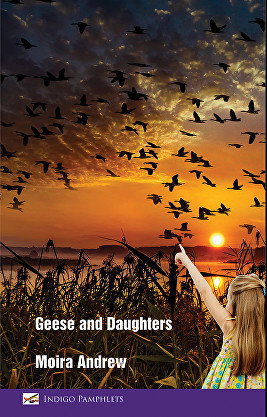 Geese and Daughters, cover