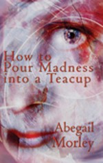 How to Pour Madness into a Teacup cover