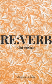 RE:VERB, cover