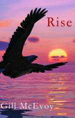 Rise cover