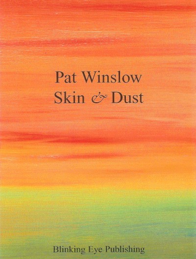 Skin & Dust cover image