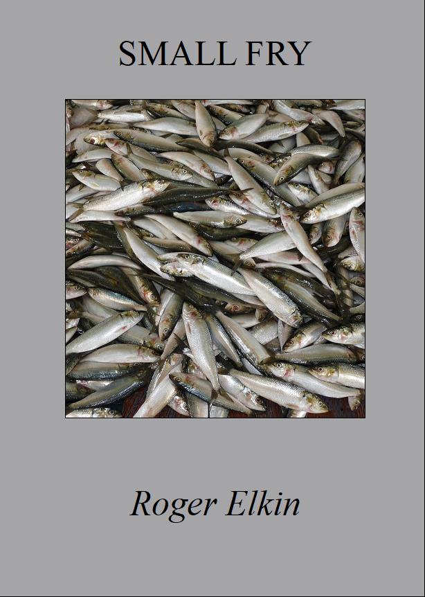 Small Fry, cover