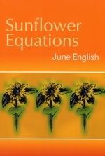 Sunflower Equations cover