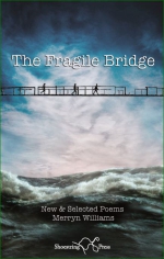 The Fragile Bridge, cover