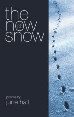 "the now of snow" cover