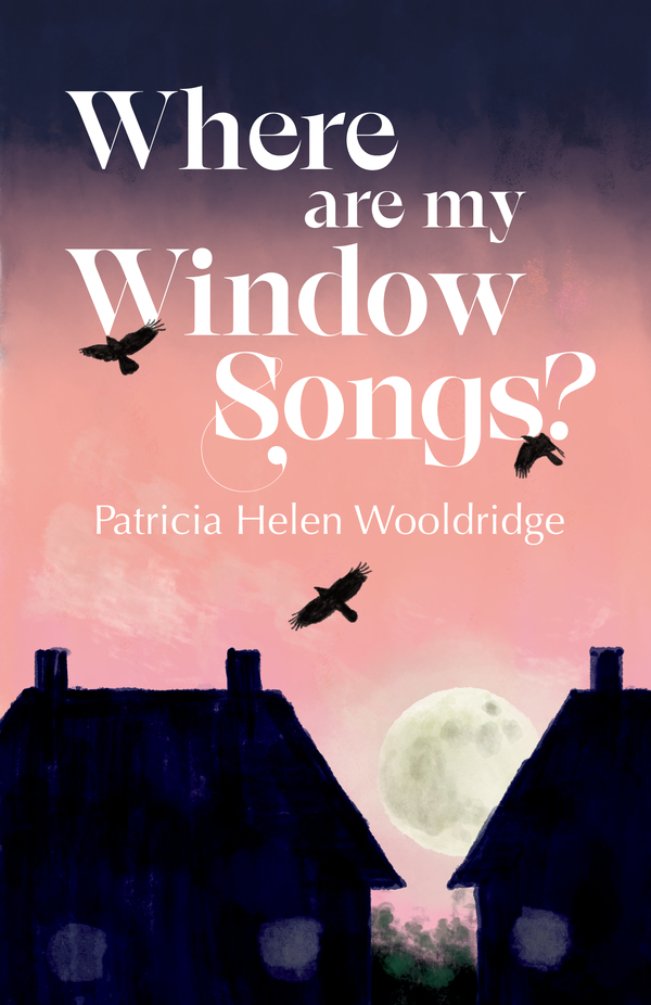 Where are my Window Songs cover