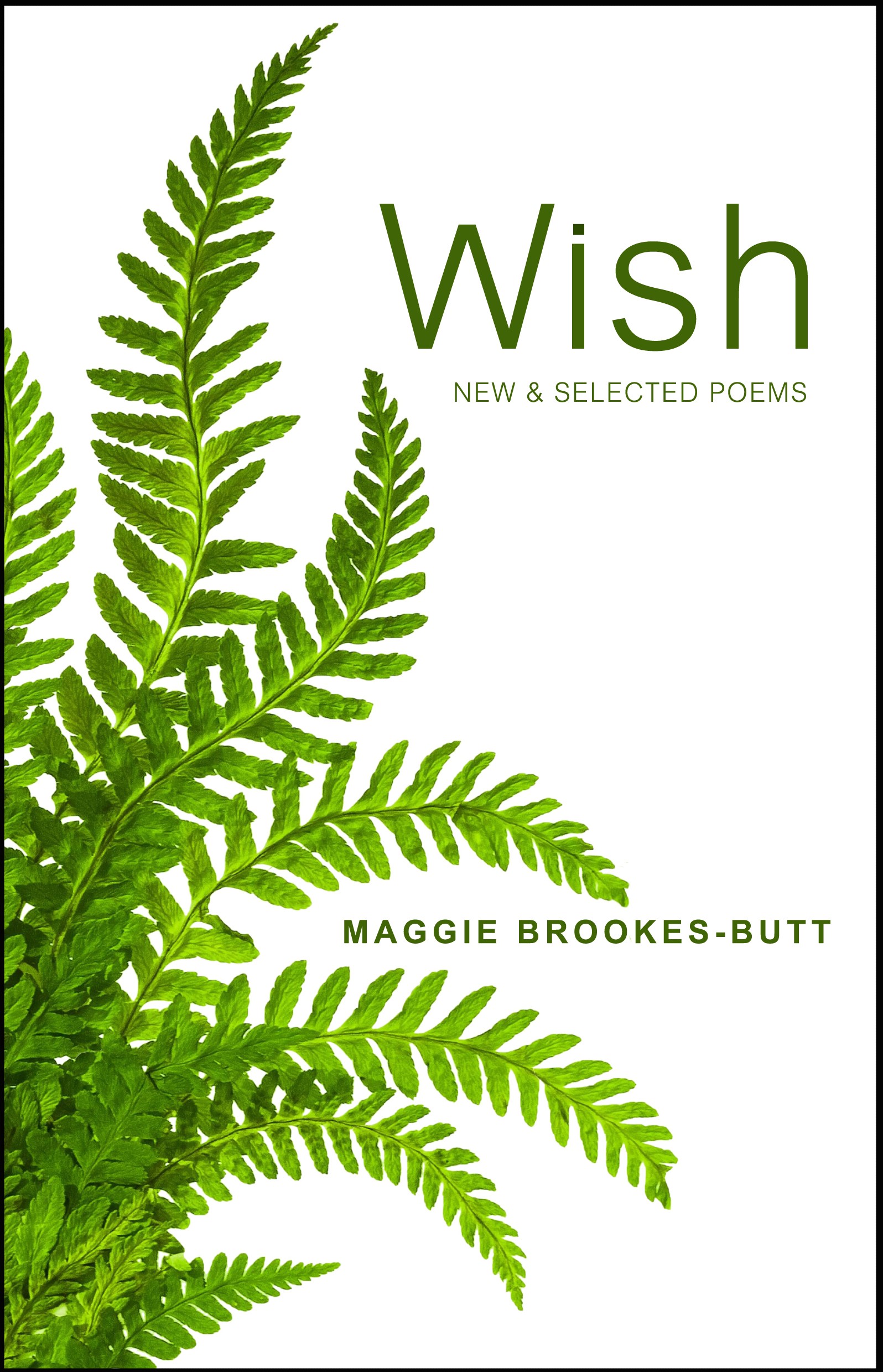 Wish new and selected poems, cover