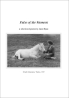 Image: Pulse of the Moment cover